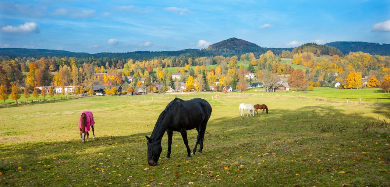 Penzion Na Stodolci Chribská Exterior foto